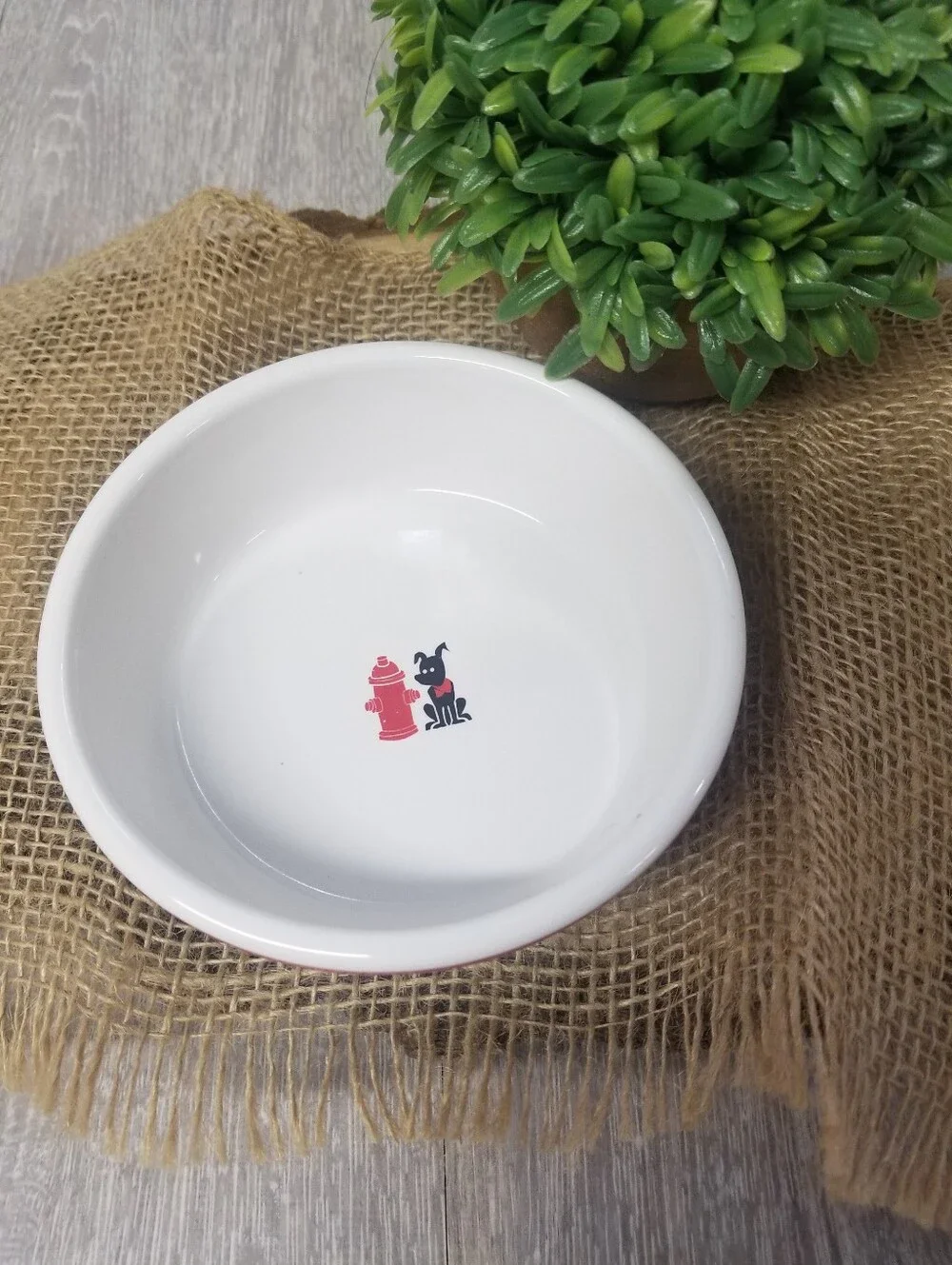 Stoneware Pet Bowl